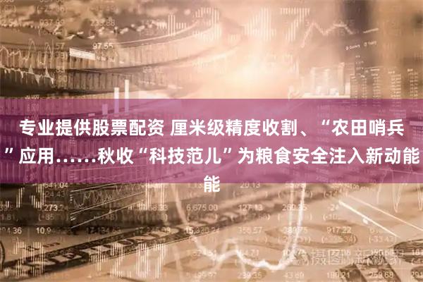 专业提供股票配资 厘米级精度收割、“农田哨兵”应用……秋收“科技范儿”为粮食安全注入新动能
